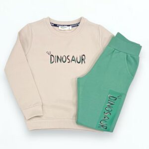 Boys dinosaur top and pants set – cotton stretch outfit – sizes 3 to 8 years – made in Turkey

