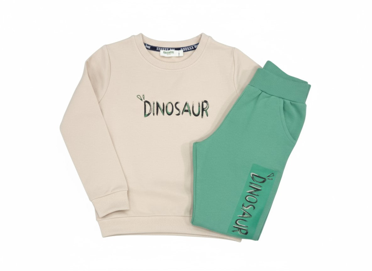 Boys Dinosaur Top & Pants Set Stretch Cotton Outfit