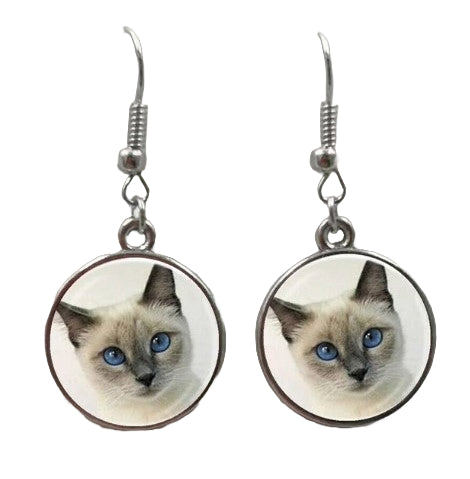 cat earrings