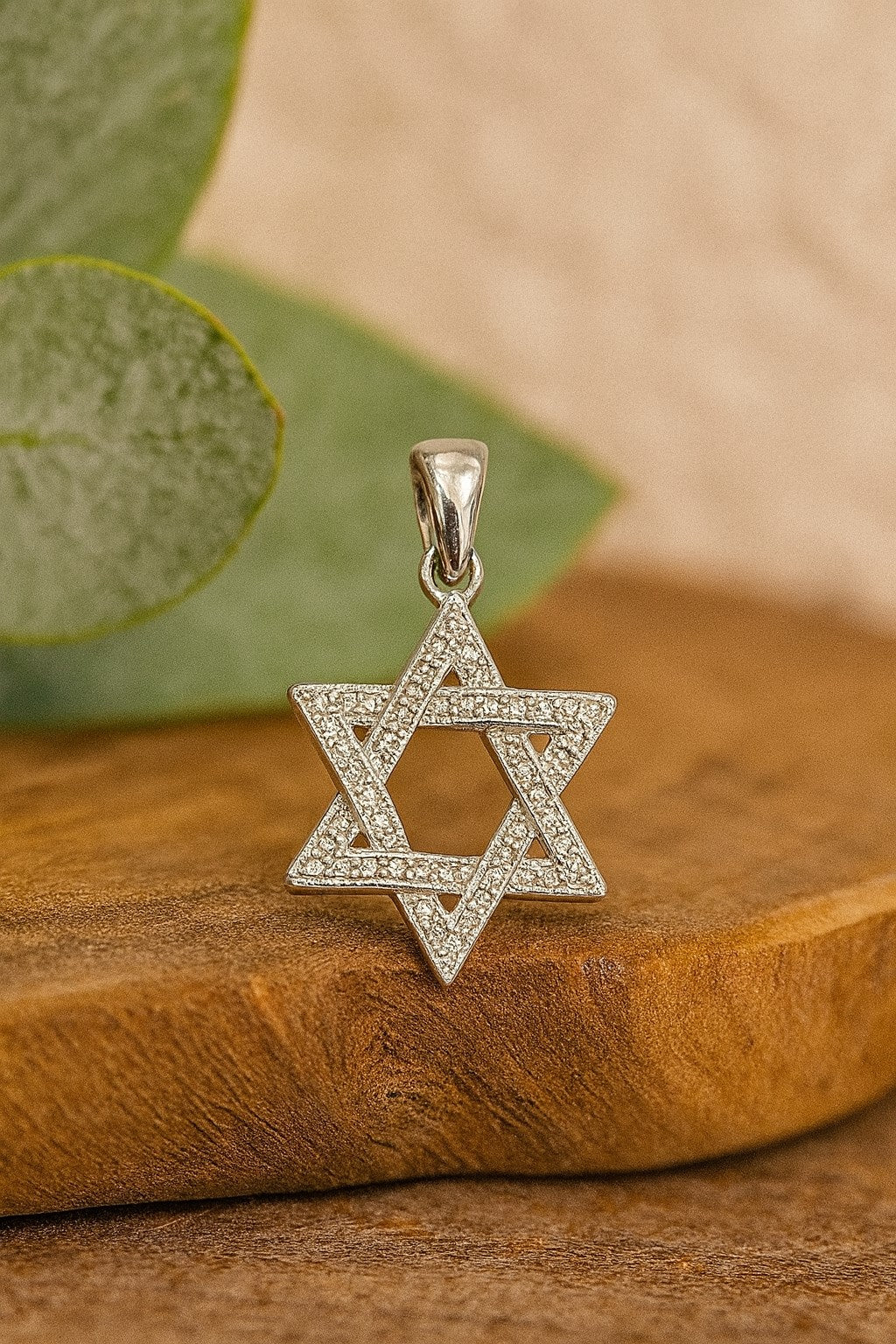 Sterling Silver Star of David Pendant with Sparkling zircons