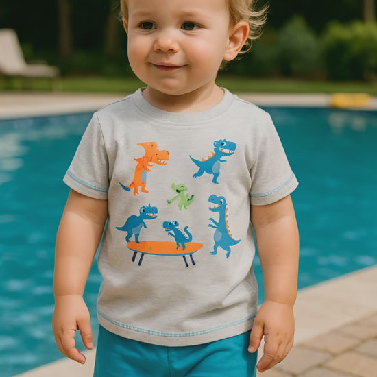 Toddler Boys Dinosaur Top & Shorts Set

